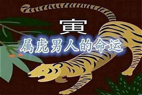 1998属|1998年属虎的是什么命，98年出生的虎五行属什么